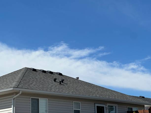 Best Roof Leak Repair  in Vandergrift, PA